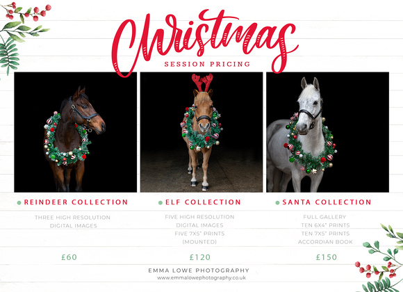 Christmas-Horse-Packages-pricing