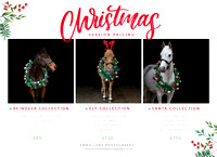 Christmas-Horse-Packages-pricing