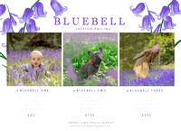 Bluebell_Prices - 2022